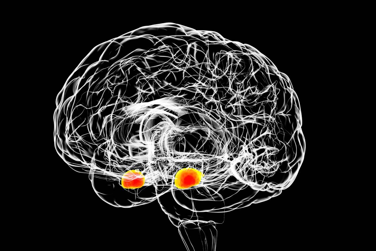 Anesthesia and Amnesia