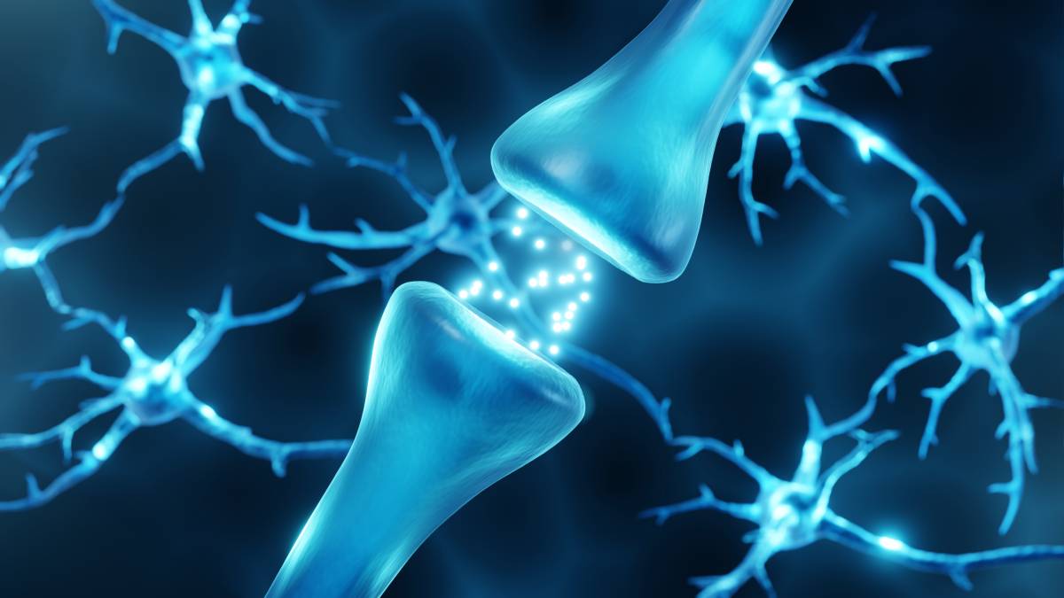 The Different Mechanisms of Pain Relief