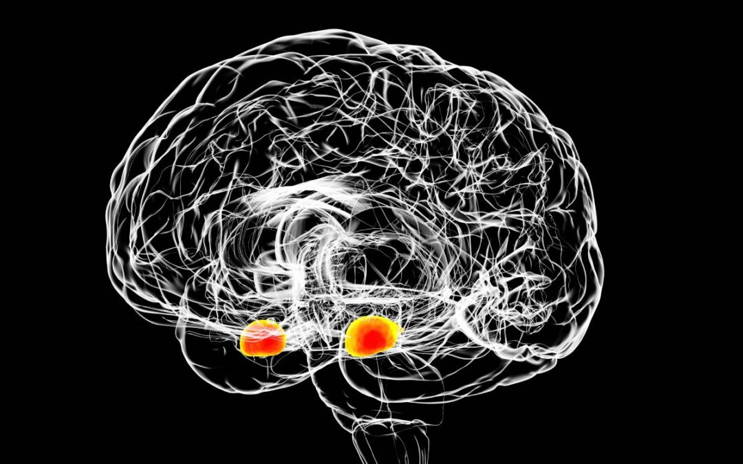 Anesthesia and Amnesia