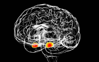 Anesthesia and Amnesia